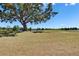 Spacious backyard with mature trees, lake views and well-maintained lawn, ideal for recreation at 13421 Sydney Rd, Valrico, FL 33594