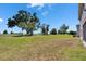 Expansive backyard featuring lush greenery and scattered trees, creating a peaceful and serene outdoor space at 13421 Sydney Rd, Valrico, FL 33594