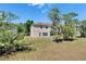 Scenic view of the home's backyard, beautifully landscaped with mature trees and ample space at 13421 Sydney Rd, Valrico, FL 33594