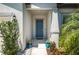 A welcoming front entrance with a blue door, potted plants, and decorative stone pathway at 14146 Samoa Hill Ct, Riverview, FL 33569