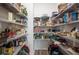 Spacious walk-in pantry with metal shelving, offering ample storage for food and kitchen supplies at 14146 Samoa Hill Ct, Riverview, FL 33569