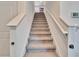 Carpeted staircase leading to the upper level of the home with a white handrail at 16894 Delia St, Wimauma, FL 33598
