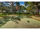 Private putting green and a red flag set amongst lush green grass and mature trees at 1806 Mariner Dr # 112, Tarpon Springs, FL 34689