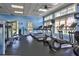 Community gym featuring treadmills, elliptical machines, weight training machine, and scale at 20113 Bending Creek Pl, Tampa, FL 33647