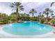 Inviting community pool featuring palm trees and splash fountains at 20113 Bending Creek Pl, Tampa, FL 33647