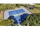 Aerial view of pristine blue and grey tennis courts surrounded by mature trees at 2693 Sabal Springs Cir # 206, Clearwater, FL 33761