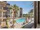 Outdoor pool and patio area with lounge chairs and dining tables, surrounded by palm trees at 2901 26Th W St # 317, Bradenton, FL 34205