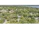 Scenic aerial view of lush, tree-lined neighborhood with homes, offering privacy and a tranquil setting at 34 Hickory Ln, Safety Harbor, FL 34695