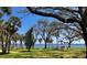 A serene park offering stunning views of the water, mature trees, and green lawns at 34 Hickory Ln, Safety Harbor, FL 34695