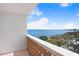 Balcony with a view of water, palm trees, and lush greenery against a blue sky at 4015 Bayshore Blvd # 8E, Tampa, FL 33611