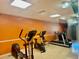 Well-lit exercise room featuring modern equipment, perfect for maintaining an active lifestyle at 5501 80Th N St # 509, St Petersburg, FL 33709