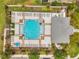 Top-down aerial view of the large community pool with sun loungers, umbrellas and a clubhouse for residents at 5710 Grand Sonata Ave, Lutz, FL 33558