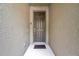 The front door features a gray color and a bronze door handle, complemented by the stucco walls at 5710 Grand Sonata Ave, Lutz, FL 33558