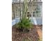 A cozy backyard showcasing lush greenery and privacy at 712 Sunset Cv, Madeira Beach, FL 33708