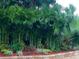 Lush tropical landscaping with red mulch and a variety of green foliage enhances curb appeal at 712 Sunset Cv, Madeira Beach, FL 33708