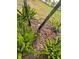Close-up of yard featuring verdant, spiky plants and decorative brown mulch, adding natural texture at 712 Sunset Cv, Madeira Beach, FL 33708