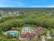 Aerial view of the community pools surrounded by palm trees, lounge chairs, and tropical foliage at 8226 Summer Brook Ct, Land O Lakes, FL 34638