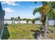 Backyard featuring a well-maintained lawn, perimeter of young palm trees, and a white privacy fence at 8226 Summer Brook Ct, Land O Lakes, FL 34638