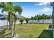 Large backyard with lush green grass, privacy fence, and young palm trees at 8226 Summer Brook Ct, Land O Lakes, FL 34638