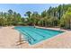 Large swimming pool with lane markers, surrounded by lush trees and lounge seating at 8226 Summer Brook Ct, Land O Lakes, FL 34638