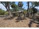 Backyard featuring a covered area, mature trees and groundcover at 11101 Corlett Rd, Riverview, FL 33578