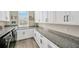 Well-organized laundry room with plenty of storage space and granite countertops at 10509 Broadland Pass, Thonotosassa, FL 33592