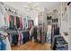 Large walk-in closet with custom shelving and racks for clothes and shoes and a decorative chandelier at 1220 Darlington Oak Ne Cir, St Petersburg, FL 33703
