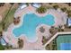 Overhead view of the community's lagoon-style pool with ample lounge seating, palm trees, and a nearby tennis court at 19204 Briarbrook Dr, Tampa, FL 33647