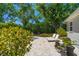 Back patio features lounge chairs, a pool, and lush greenery at 246 20Th Ne Ave, St Petersburg, FL 33704