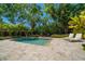 Private pool area surrounded by lush greenery, providing a tranquil and secluded oasis at 246 20Th Ne Ave, St Petersburg, FL 33704