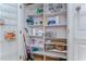 Well-stocked pantry with ample shelving, offering plenty of space for food and kitchen supply storage at 2663 Sequoia Ter # 2663, Palm Harbor, FL 34683