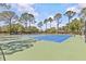 A bright, inviting outdoor tennis court with tall trees, perfect for a friendly match at 28628 Twinbrook # Ln, Wesley Chapel, FL 33543