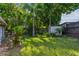 Expansive backyard with green lawn, tropical trees, and a storage shed offers outdoor enjoyment at 7000 14Th N St, St Petersburg, FL 33702