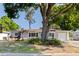 Charming single-story home with a well-maintained front yard, mature tree, and welcoming curb appeal at 725 85Th N Ave, St Petersburg, FL 33702
