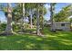 Large green yard with mature trees and a shed in the back at 8020 Sharon Dr, Tampa, FL 33617