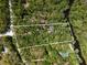 Overhead view of property featuring wooded acreage and nearby river, highlighting the home's serene and secluded location at 9019 Stone Dr, Webster, FL 33597