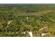 Expansive aerial view showcases home nestled amongst a lush green forest landscape at 9019 Stone Dr, Webster, FL 33597