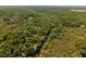 Expansive aerial view showcasing a lush green forest landscape and river at 9019 Stone Dr, Webster, FL 33597