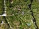 Aerial view showcases houses nestled in a forest landscape, providing a sense of privacy and seclusion at 9019 Stone Dr, Webster, FL 33597