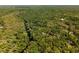 Beautiful aerial landscape view of a forest with a river, showcasing a serene and natural setting at 9019 Stone Dr, Webster, FL 33597