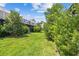 Lush backyard with green lawn and tropical landscaping, offering privacy and natural beauty at 10135 Post Harvest Dr, Riverview, FL 33578