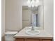 Bathroom featuring a single sink vanity, toilet, and a large mirror at 10135 Post Harvest Dr, Riverview, FL 33578