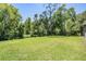 The large backyard is perfect for outdoor activities at 12801 Castlemaine Dr, Tampa, FL 33626