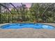Sparkling screened-in pool with travertine tile and string lights provides a relaxing outdoor retreat at 12801 Castlemaine Dr, Tampa, FL 33626