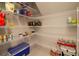 A spacious walk-in pantry provides ample storage with wire shelving at 13246 Twin Bridges Dr, Riverview, FL 33579