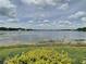 Expansive lake view with clear skies, showcasing waterfront living and natural beauty at 13833 Orange Sunset Dr # 201, Tampa, FL 33618