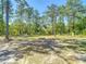Large backyard featuring mature trees, green grass, and a cozy fire pit area at 14020 Sooty Tern Ave, Brooksville, FL 34614