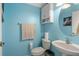 Bright bathroom featuring blue walls, a pedestal sink, and a toilet at 14418 Mirabelle Vista Cir, Tampa, FL 33626