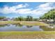 Scenic view of a tranquil pond surrounded by lush greenery and neighboring homes at 1536 Norwick Dr, Lutz, FL 33559