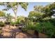 Backyard with garden is fenced and includes garden beds and a gardening trellis at 1880 Belleair Rd, Clearwater, FL 33764